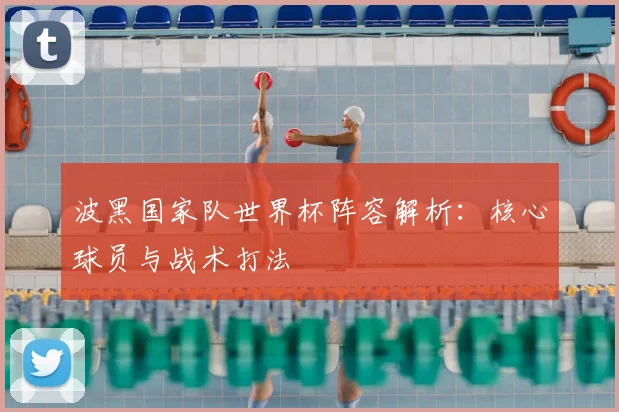 波黑国家队世界杯阵容解析：核心球员与战术打法