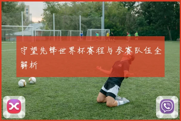 守望先锋世界杯赛程与参赛队伍全解析
