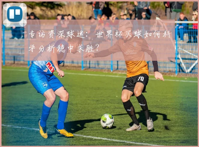 专访资深球迷：世界杯买球如何科学分析稳中求胜？