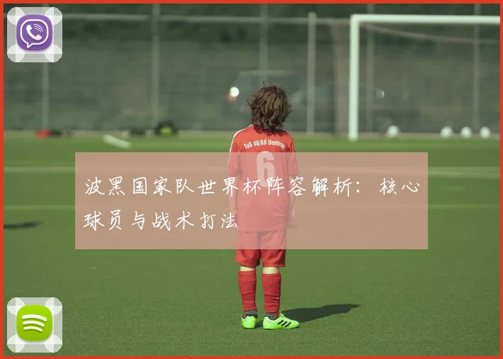 波黑国家队世界杯阵容解析：核心球员与战术打法