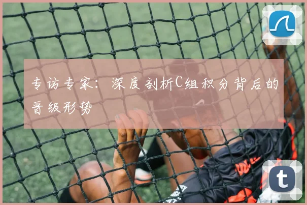 专访专家:深度剖析C组积分背后的晋级形势